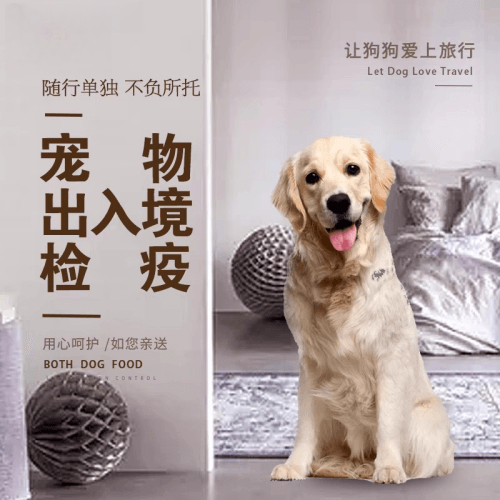 辽阳市宠物托运到哥伦比亚猫狗宠物入境规定和