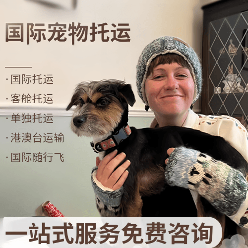 辽阳市国际宠物托运到阿根廷宠物入境规定和要