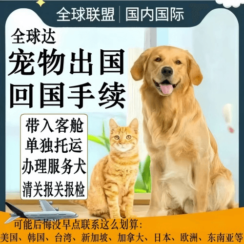 辽阳市宠物托运到柬埔寨宠物入境规定和要求