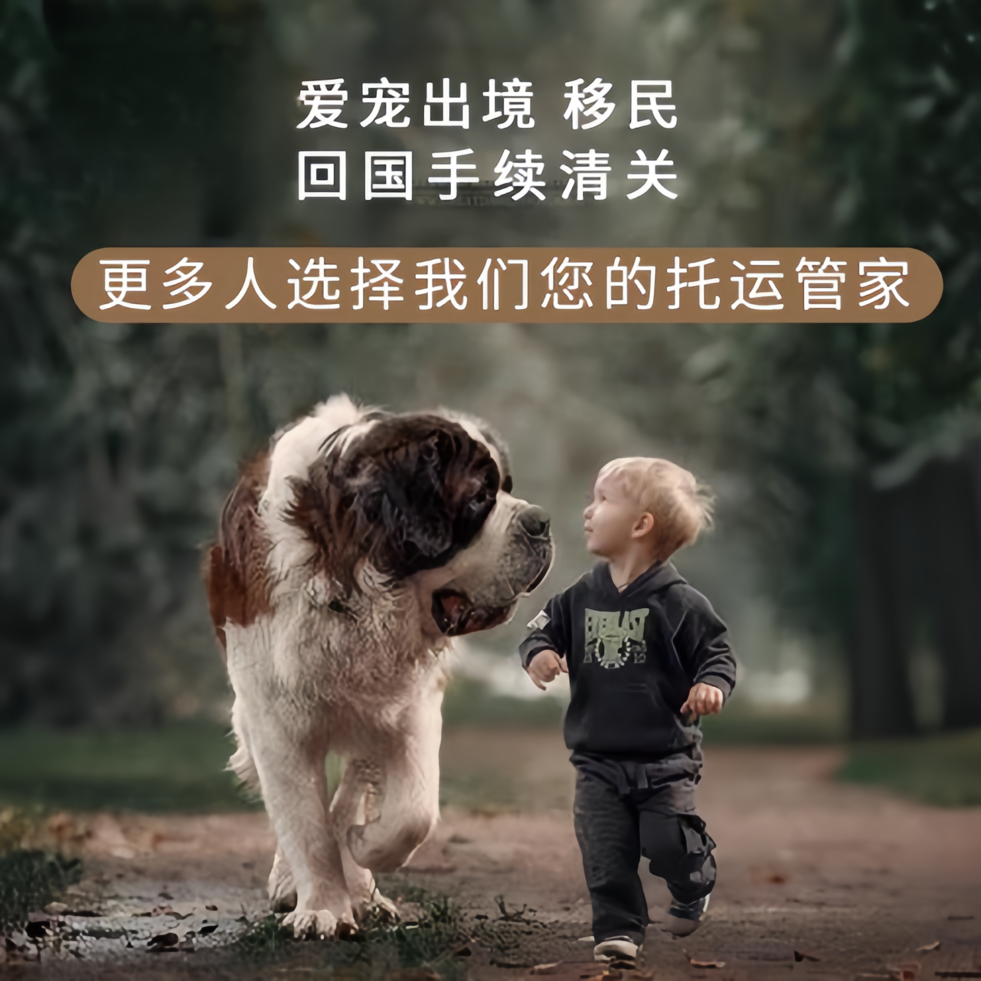 满财辽阳市宠物全球达宠物托运在遵守入境目的地政策的条件