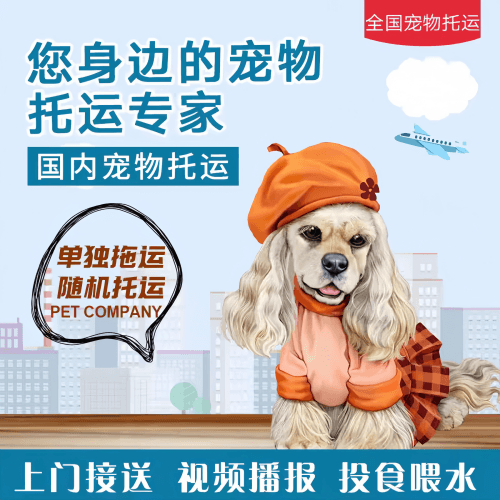 满财辽阳市宠物全球达宠物托运作为专业的宠物运输代理机构